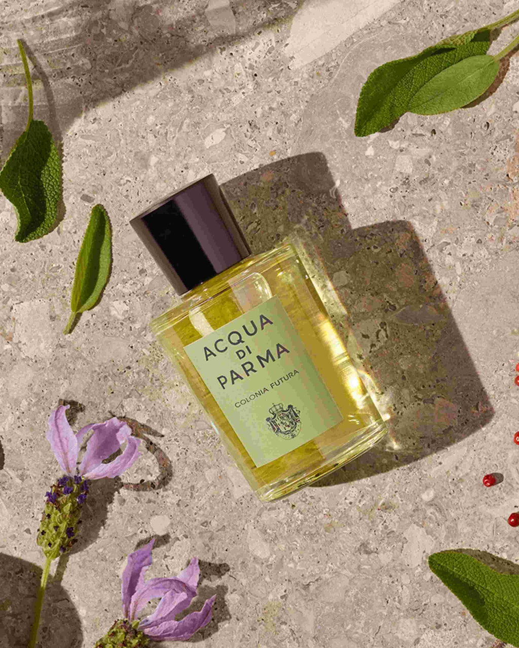 ACQUA DI PARMA – COLONIA FUTURA