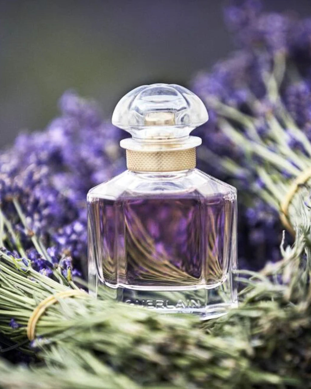 MON GUERLAIN – GUERLAIN Eau de parfum