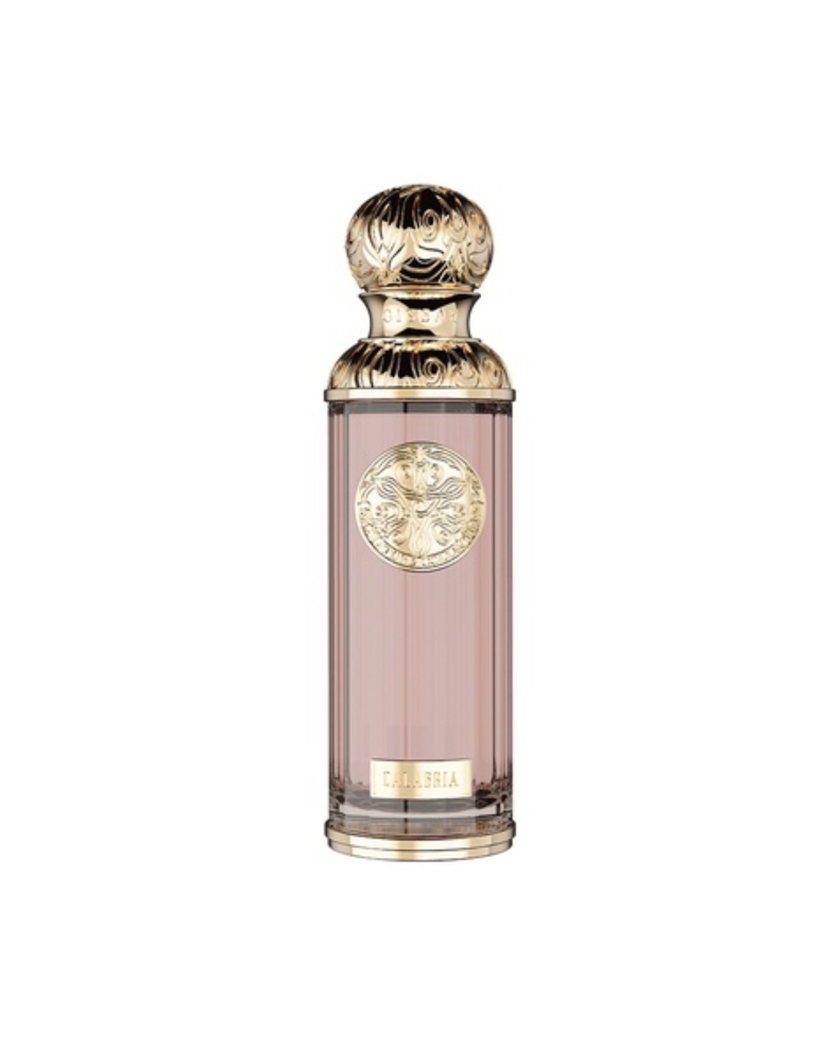 CALABRIA EDP – GISSAH