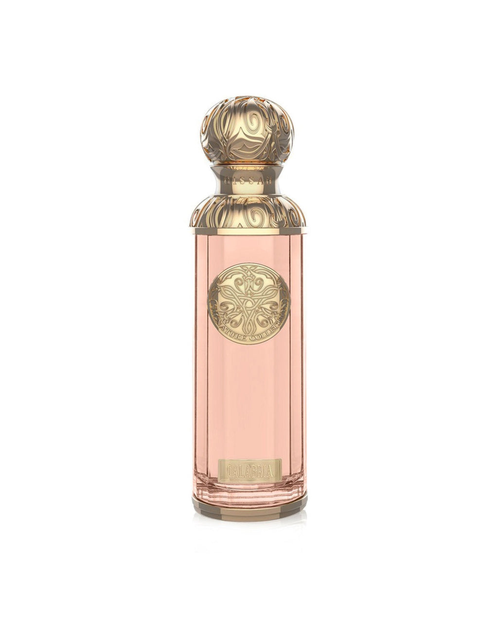 CALABRIA EDP – GISSAH