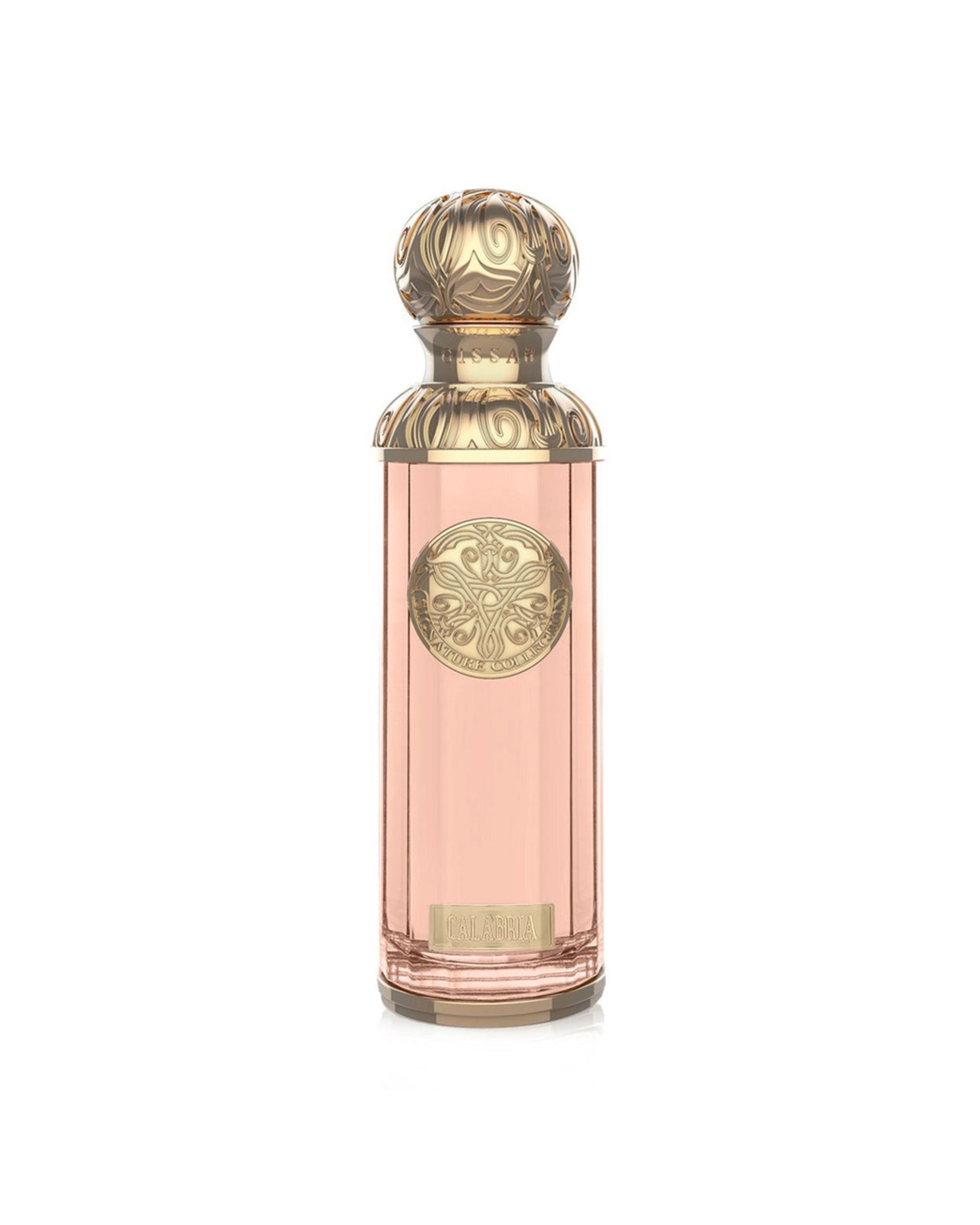 CALABRIA EDP – GISSAH