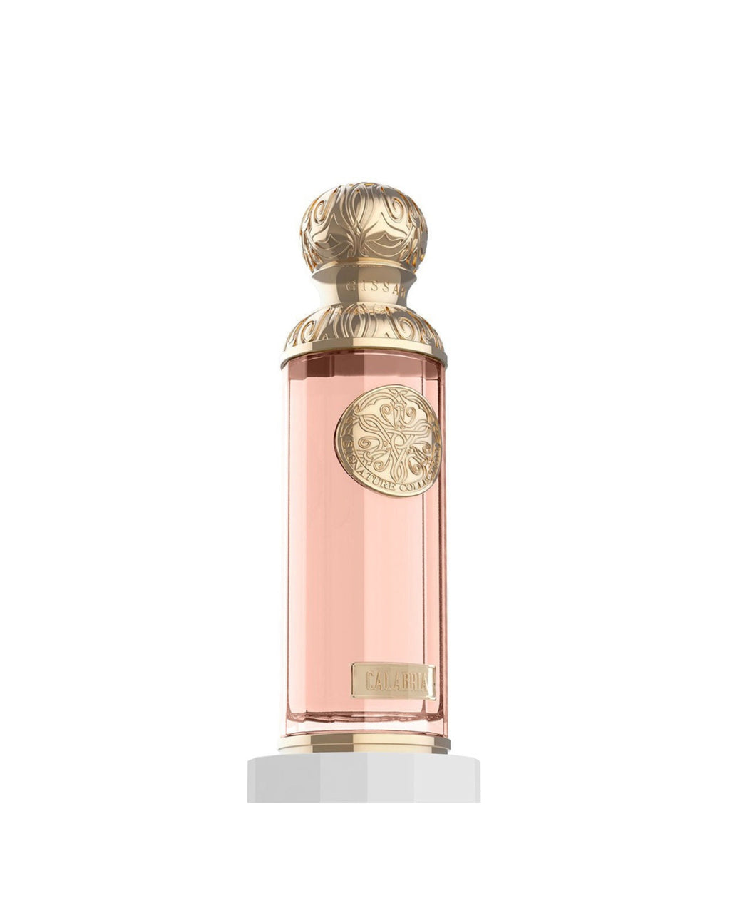 CALABRIA EDP – GISSAH