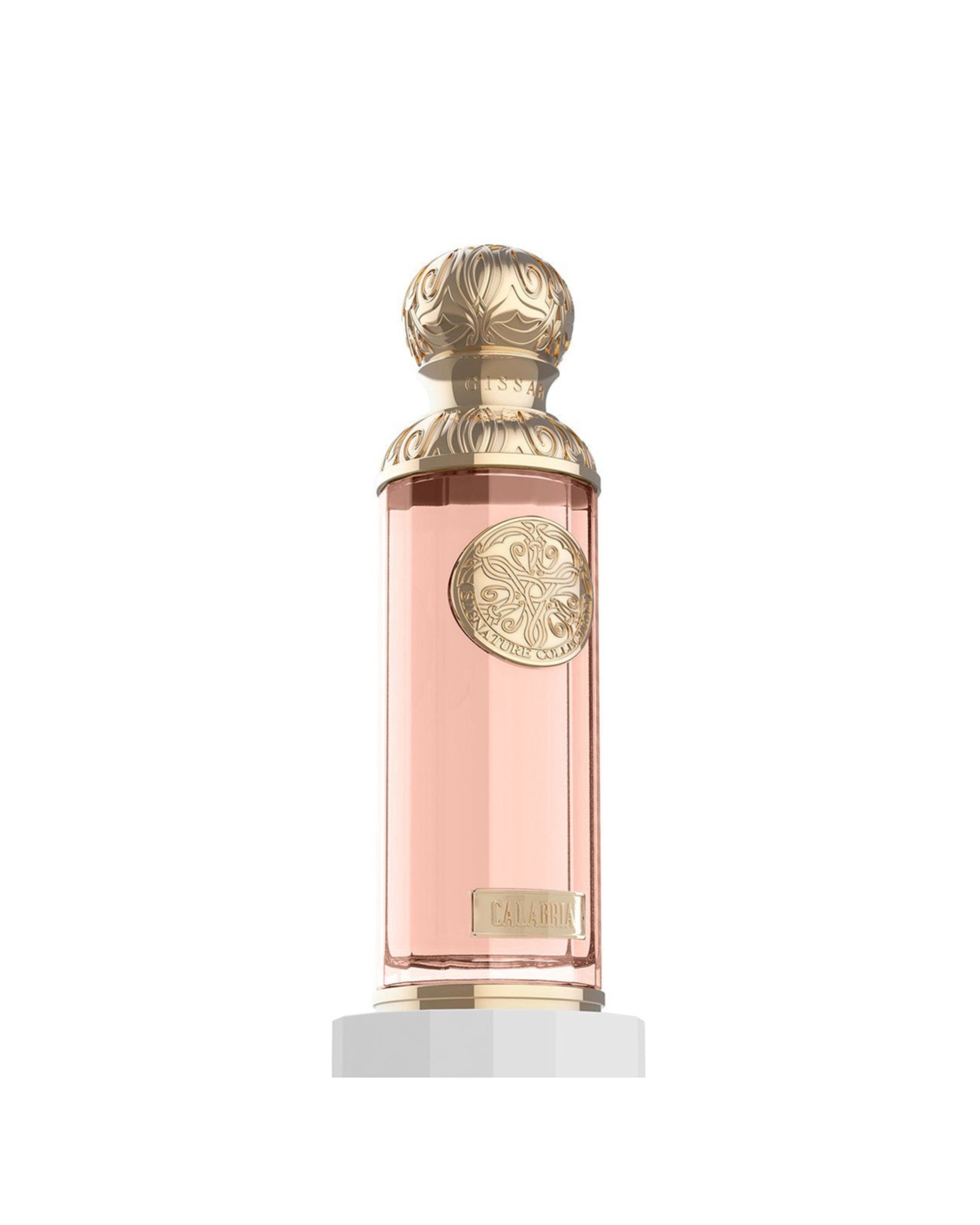 CALABRIA EDP – GISSAH