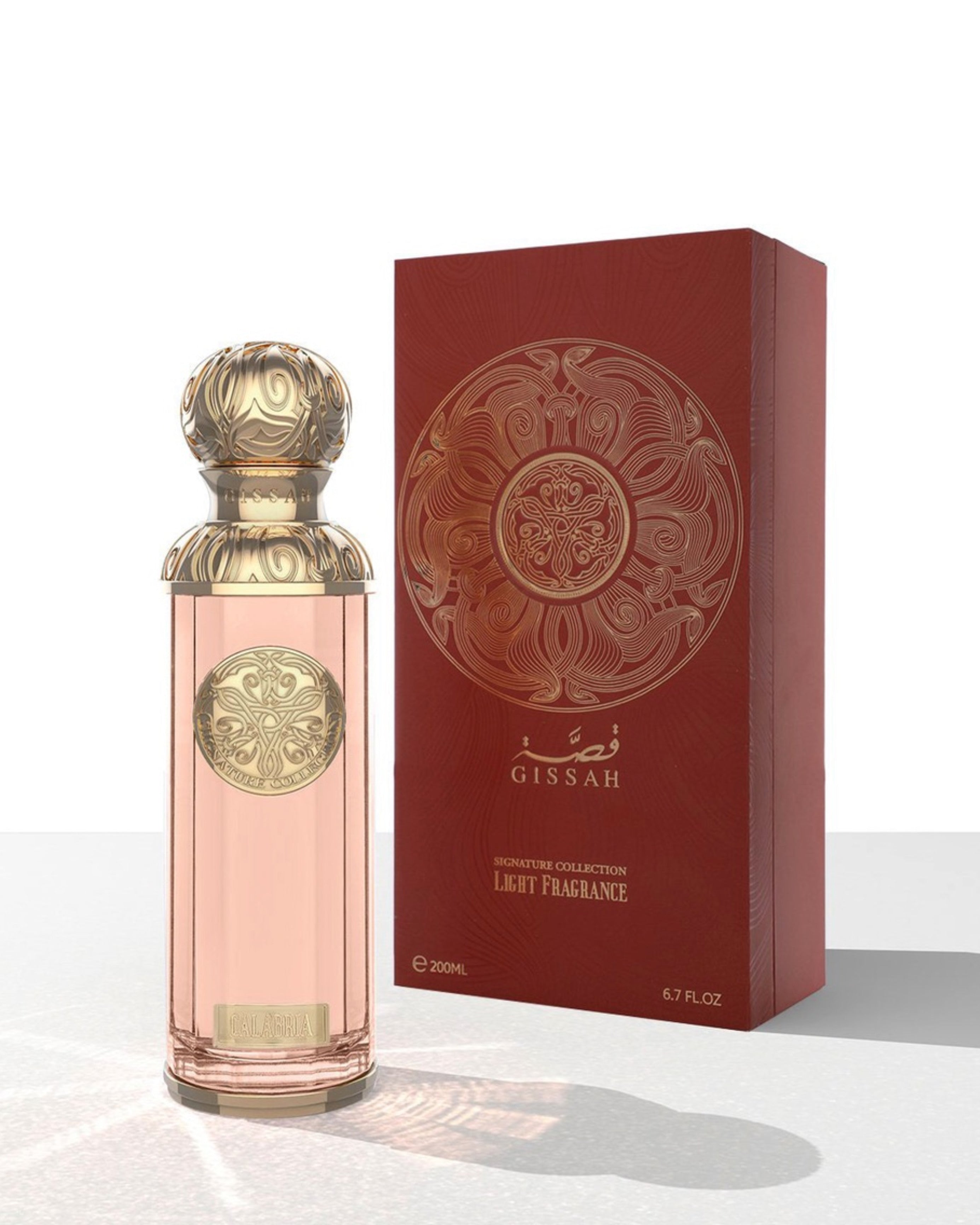 CALABRIA EDP – GISSAH