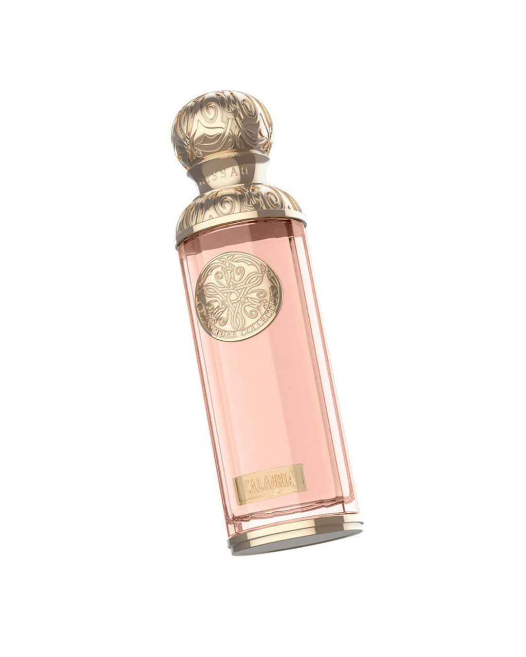 CALABRIA EDP – GISSAH