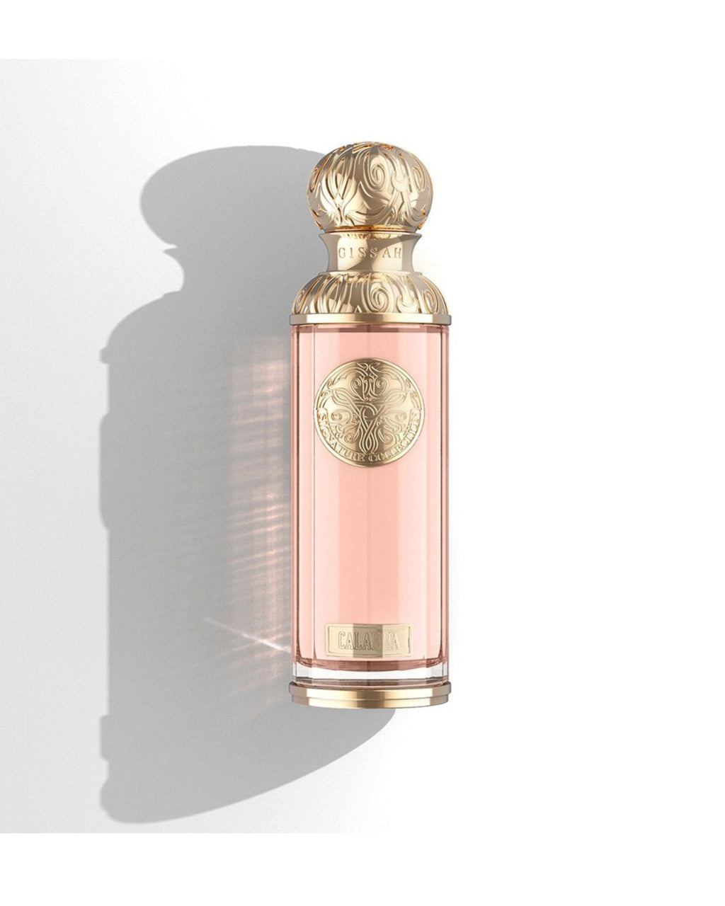 CALABRIA EDP – GISSAH