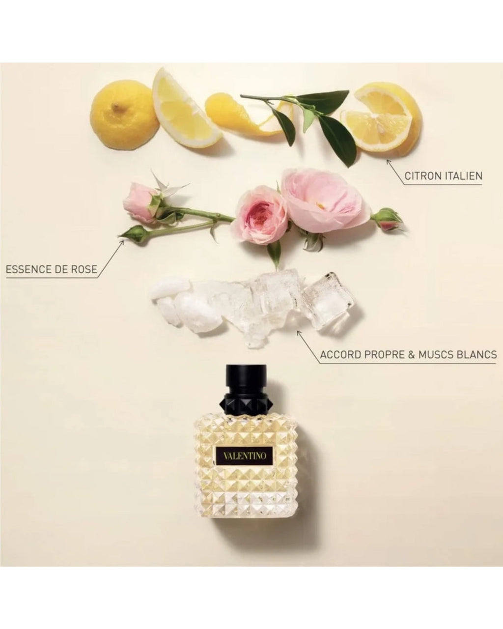 DONNA BORN IN ROMA YELLOW DREAM - VALENTINO