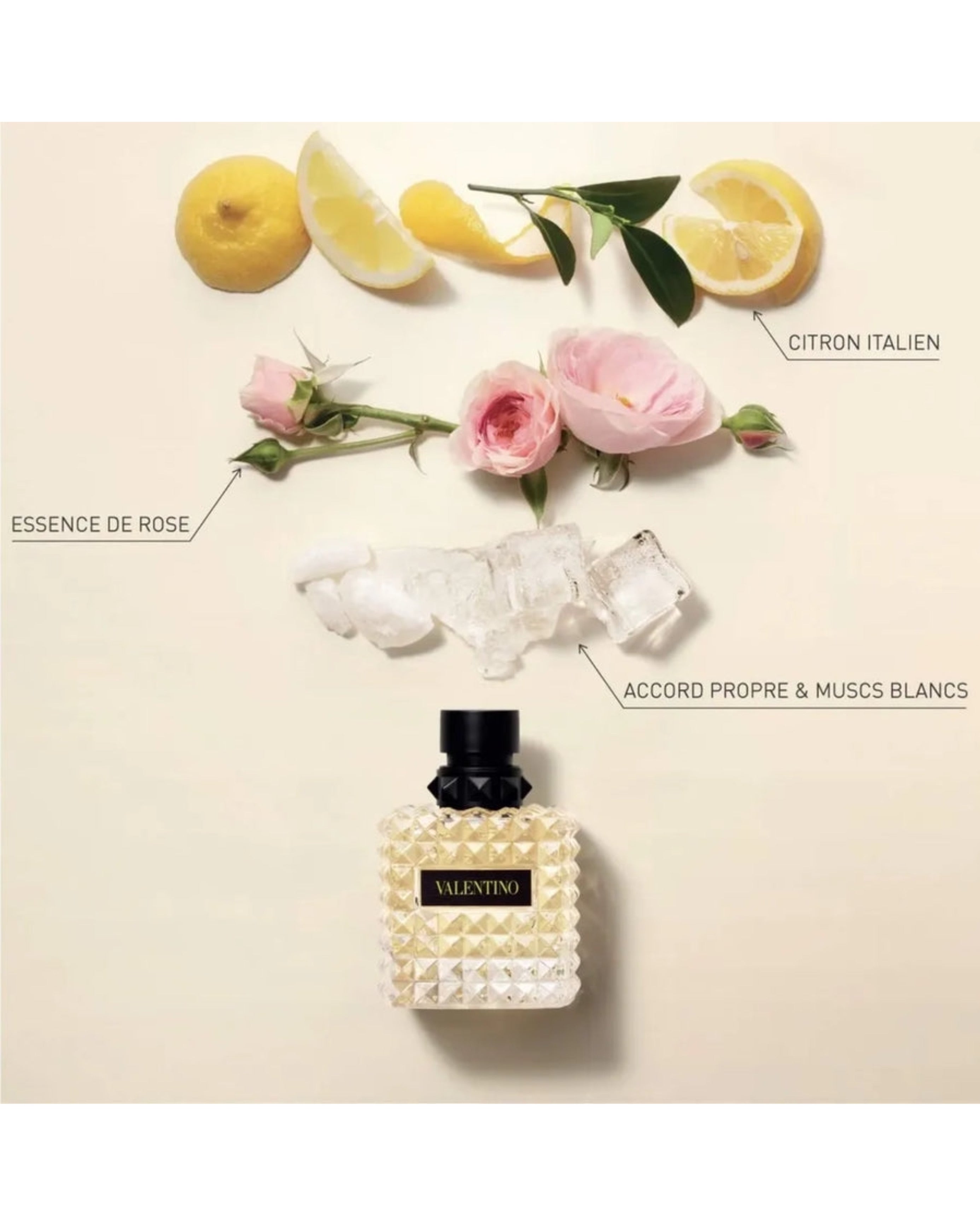 DONNA BORN IN ROMA YELLOW DREAM - VALENTINO