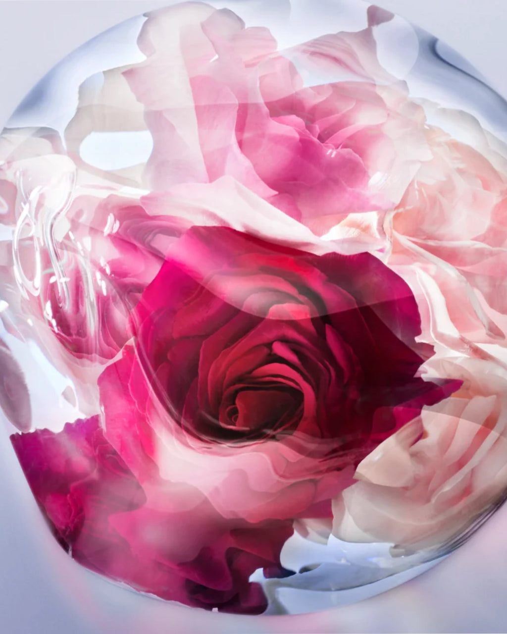 LA VIE EST BELLE ROSE EXTRAORDINAIRE – LANCÔME