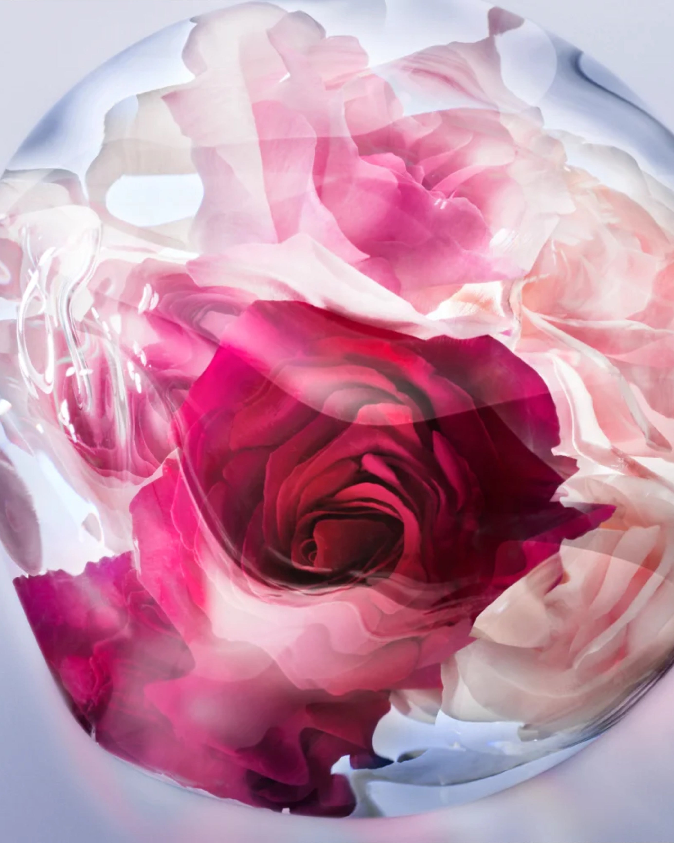 LA VIE EST BELLE ROSE EXTRAORDINAIRE – LANCÔME