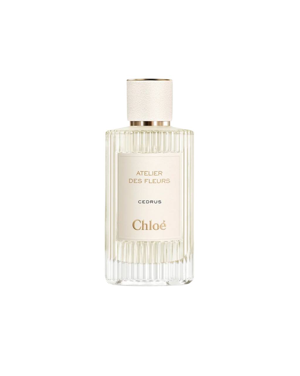 CHLOÉ – ATELIER DES FLEURS CEDRUS