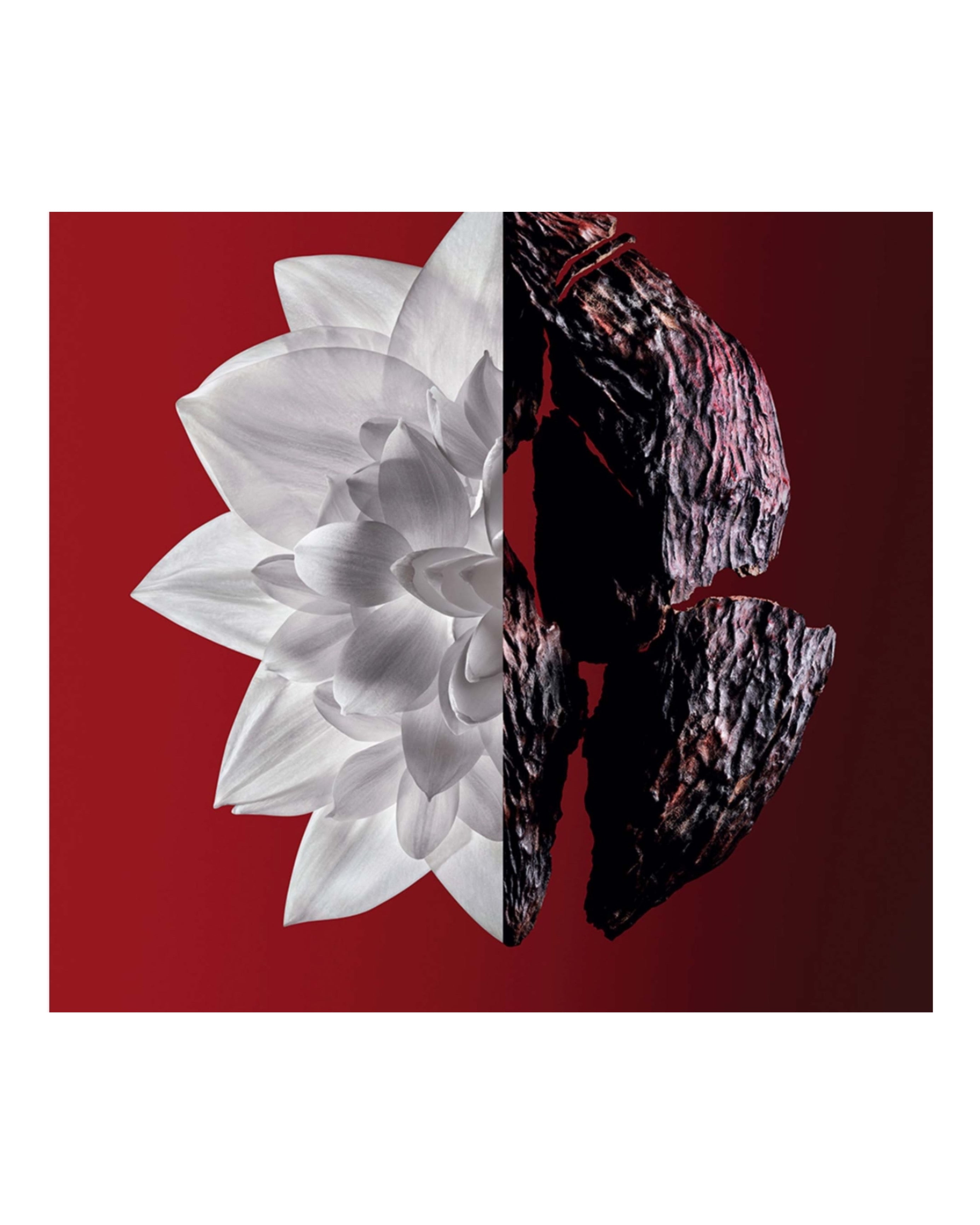 L'INTERDIT ROUGE ULTIME Eau De Parfum – GIVENCHY