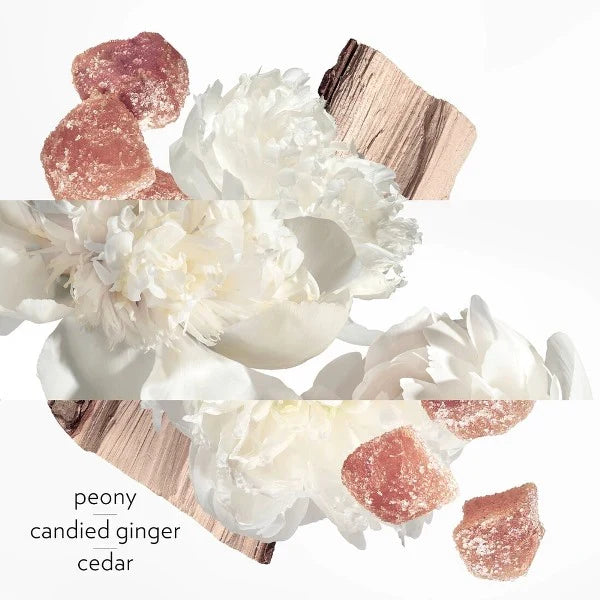 HERMÈS - TWILLY EAU GINGER-Eau De Parfum