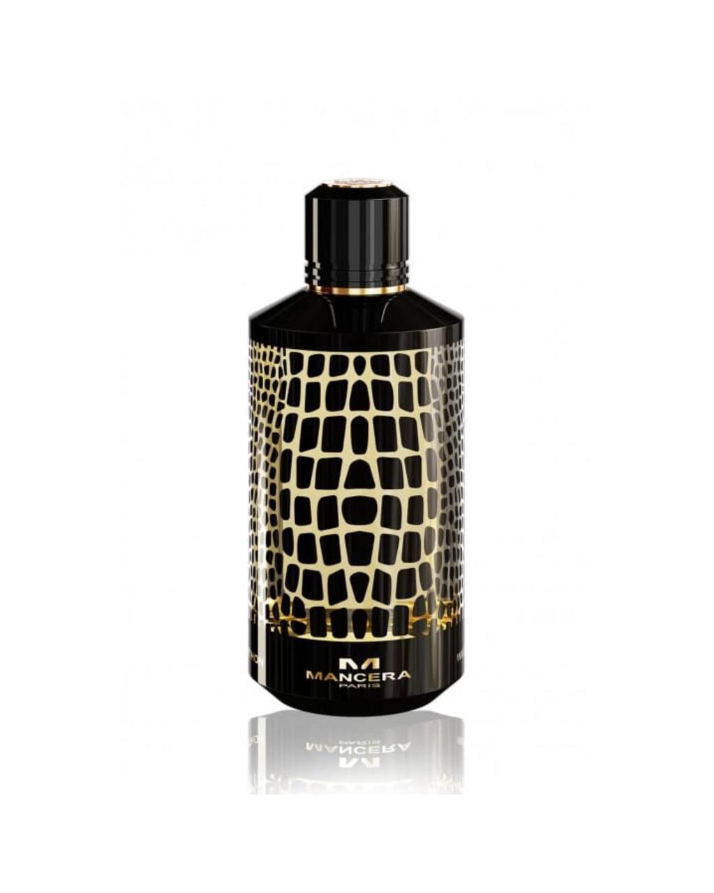 WILD PYTHON – MANCERA