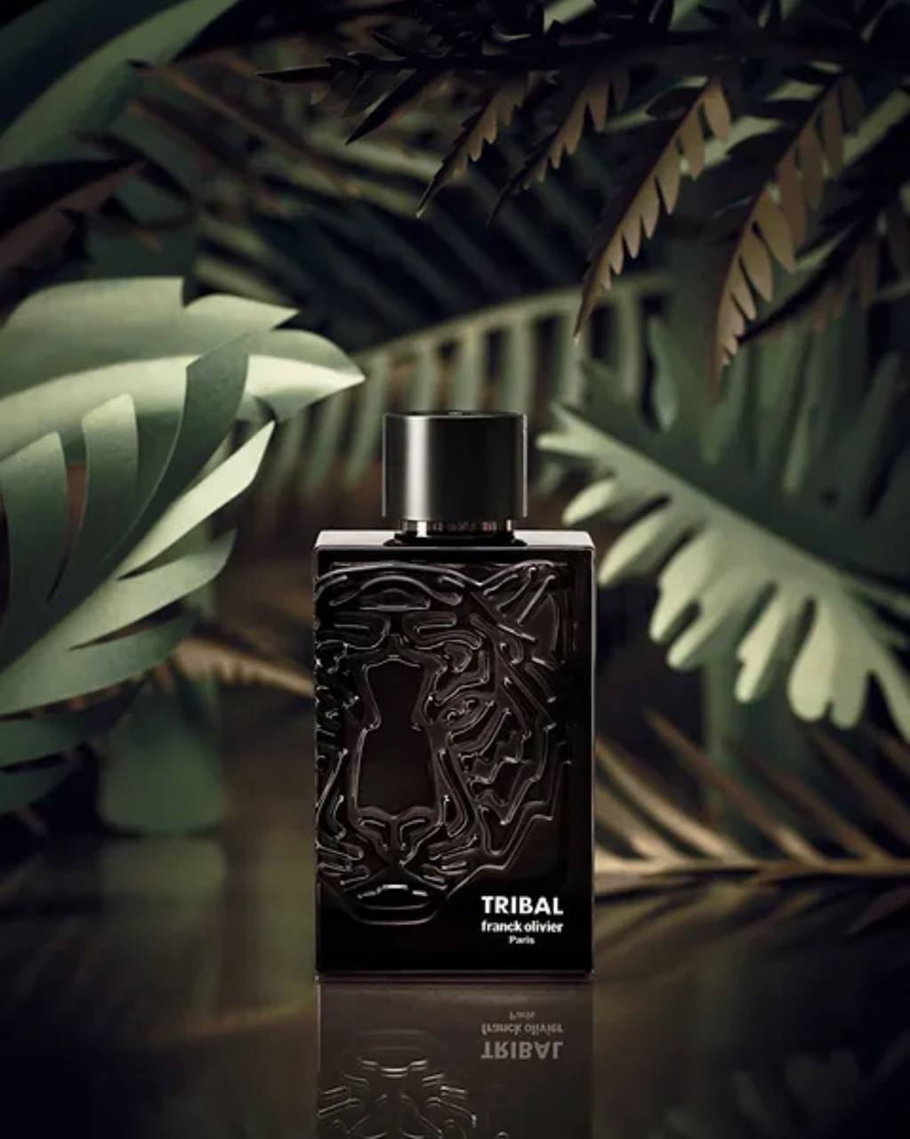 TRIBAL – Franck Olivier