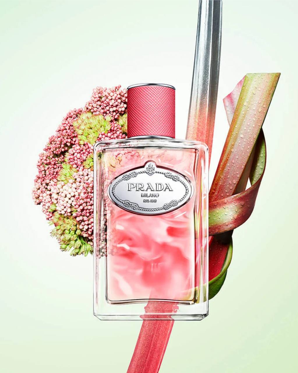 INFUSION DE RHUBARBE – PRADA