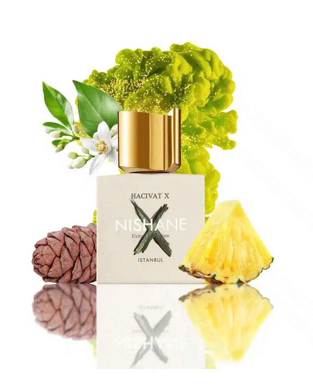 NISHANE – HACIVAT X Extrait De Parfum