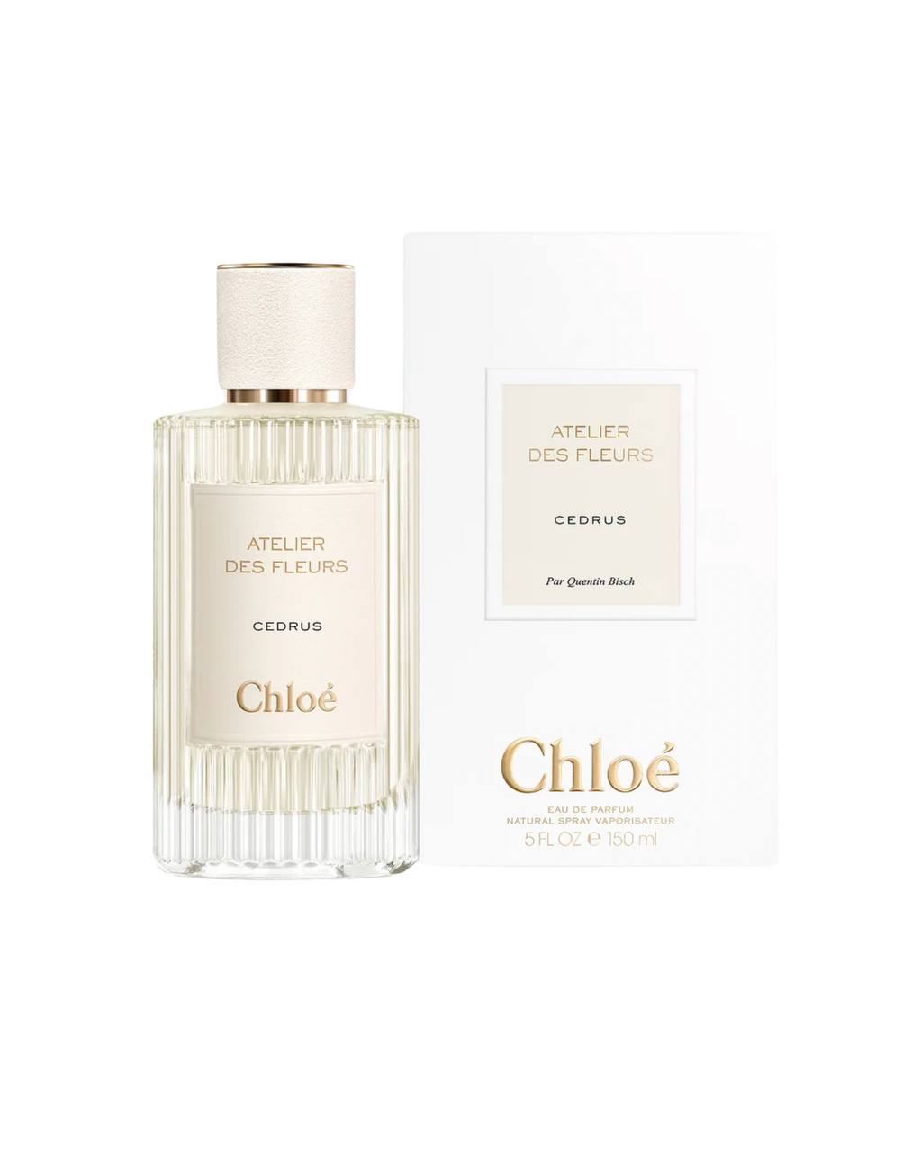 CHLOÉ – ATELIER DES FLEURS CEDRUS