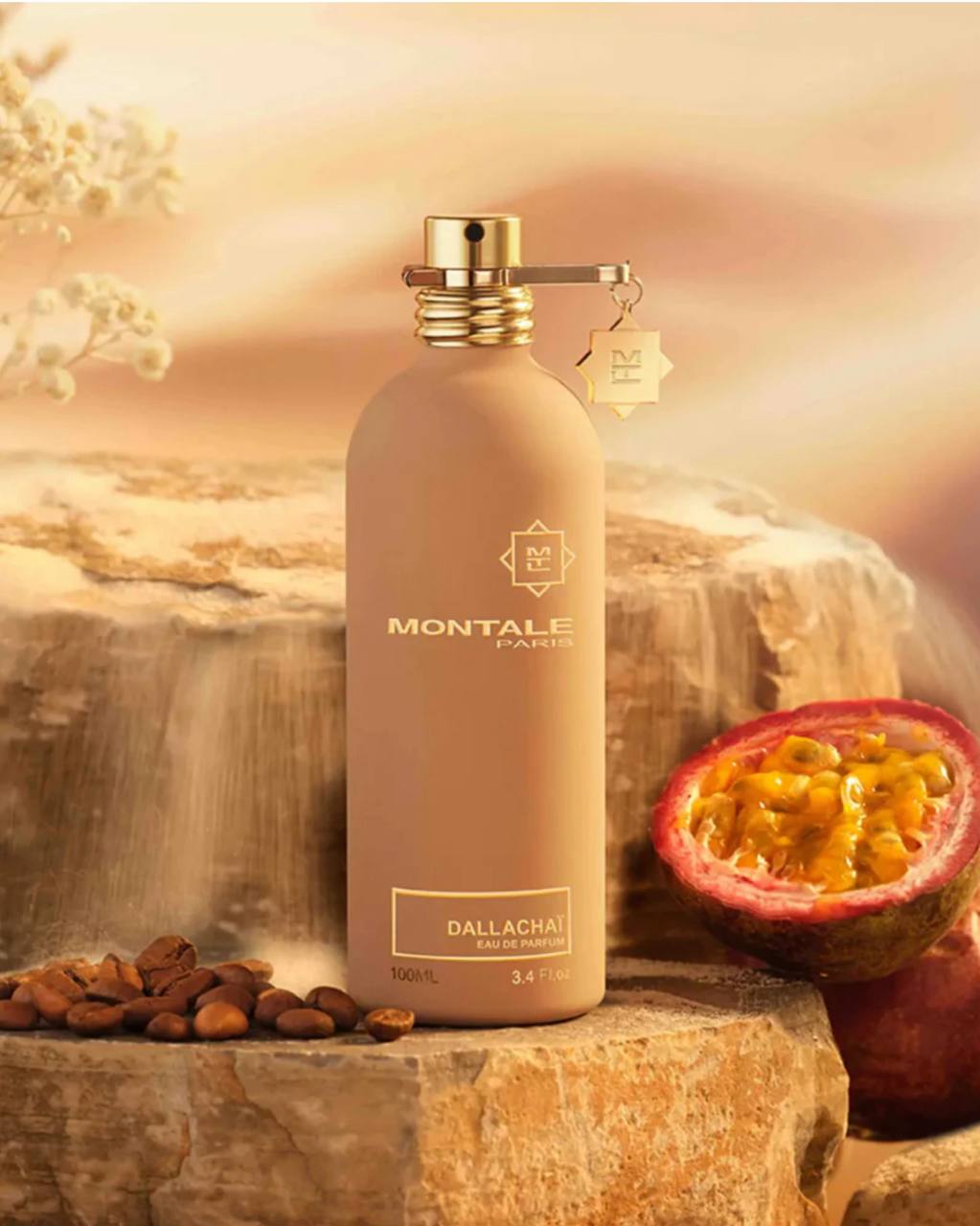 DALLACHAI – MONTALE